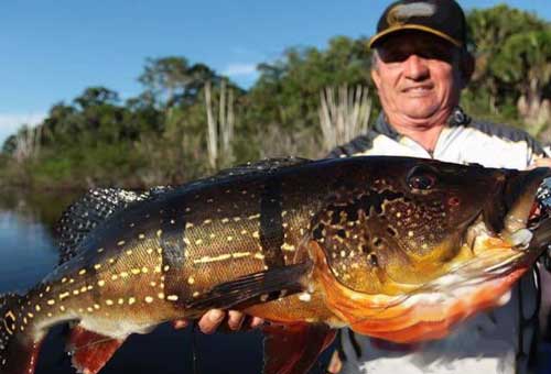 Santana Rio Negro Lodge